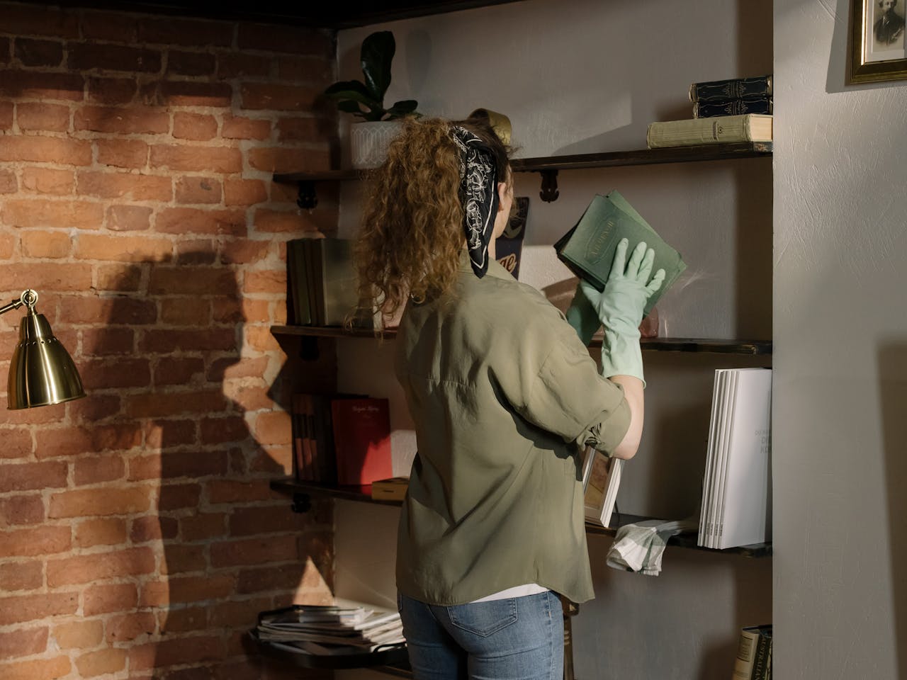 woman cleaning a living room shelf